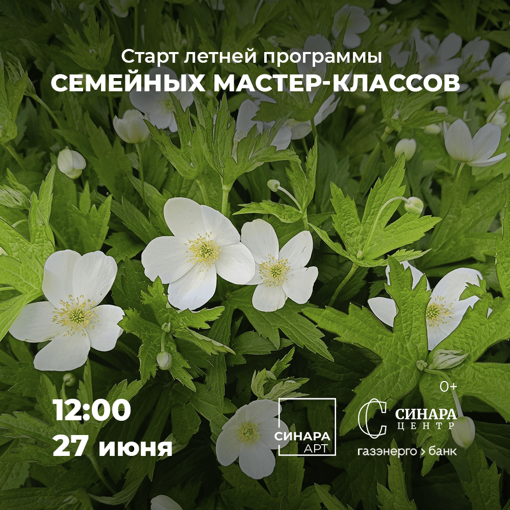 Синара Центр 2026