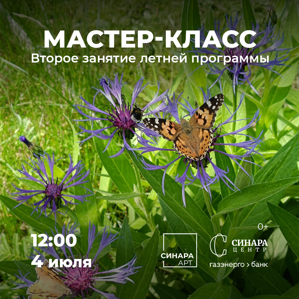 Синара Центр 2026