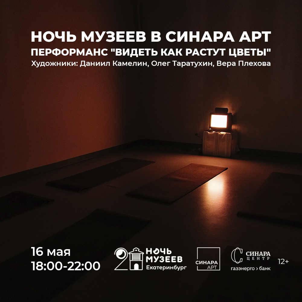 Синара Центр 2026